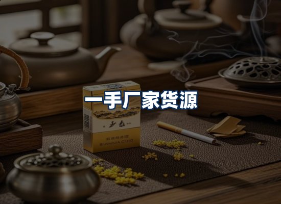 专业团队办公环境
